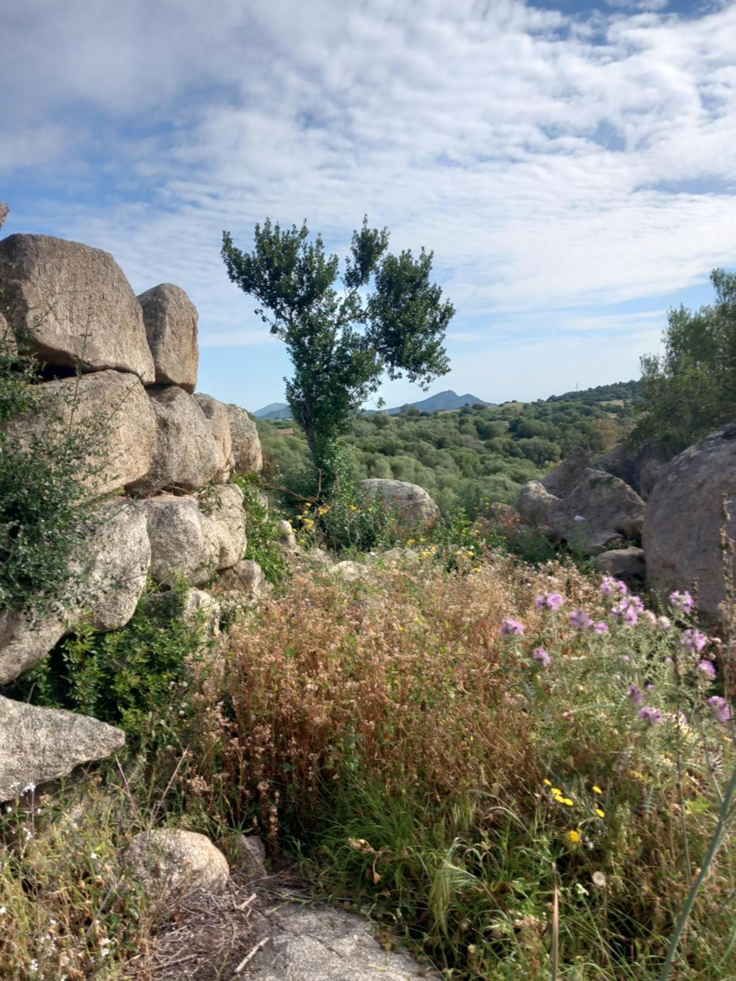Beth La Casa Della Luna Annunziata  المظهر الخارجي الصورة
